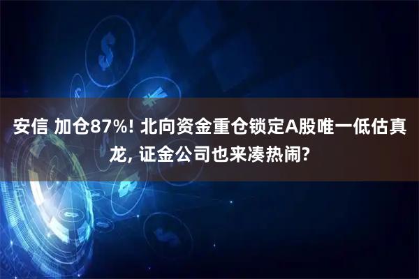 安信 加仓87%! 北向资金重仓锁定A股唯一低估真龙, 证金公司也来凑热闹?
